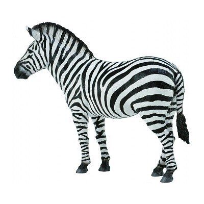 COLLECTA 88830 ZEBRA STEPN