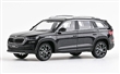 KODA KODIAQ FACELIFT 2021 ERN MAGIC METALZA